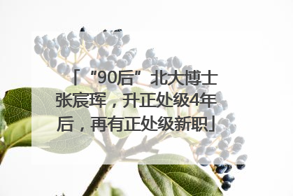 “90后”北大博士张宸珲，升正处级4年后，再有正处级新职