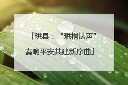 珙县：“珙桐法声”奏响平安共建新序曲