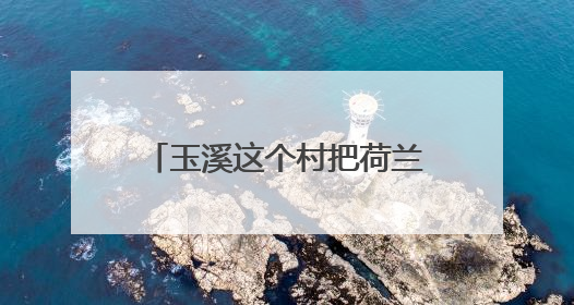玉溪这个村把荷兰猪养成了“金豆豆”｜在云南样样好