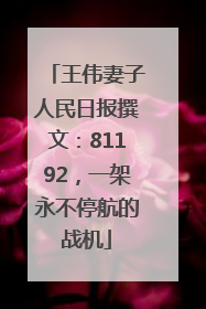 王伟妻子人民日报撰文：81192，一架永不停航的战机