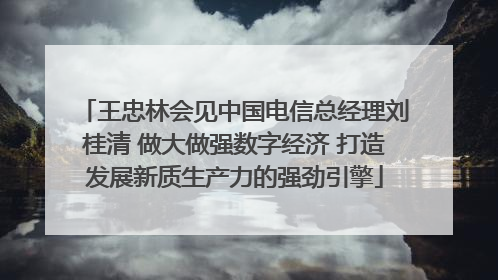 王忠林会见中国电信总经理刘桂清 做大做强数字经济 打造发展新质生产力的强劲引擎