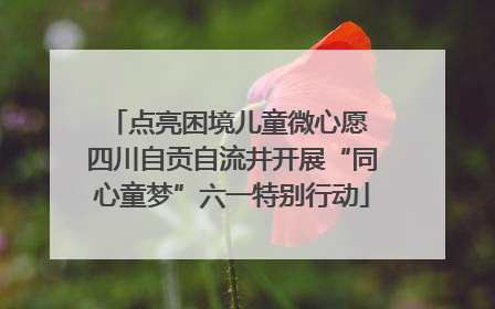 点亮困境儿童微心愿 四川自贡自流井开展“同心童梦”六一特别行动