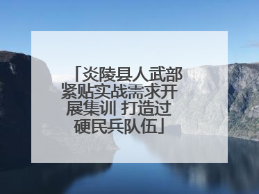 炎陵县人武部紧贴实战需求开展集训 打造过硬民兵队伍