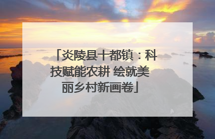 炎陵县十都镇：科技赋能农耕 绘就美丽乡村新画卷