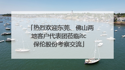 热烈欢迎东莞、佛山两地客户代表团莅临itc保伦股份考察交流