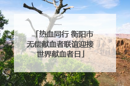 热血同行 衡阳市无偿献血者联谊迎接世界献血者日