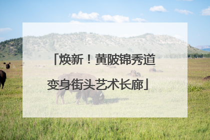 焕新！黄陂锦秀道变身街头艺术长廊