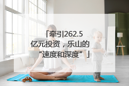 牵引262.5亿元投资，乐山的“速度和深度”