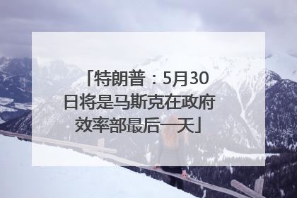 特朗普：5月30日将是马斯克在政府效率部最后一天