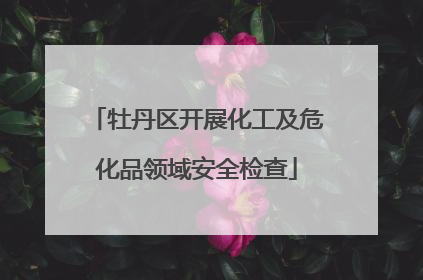 牡丹区开展化工及危化品领域安全检查