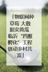 物联网种草莓 大数据卖黄瓜 临沂“四雁孵化”工程链动乡村共富
