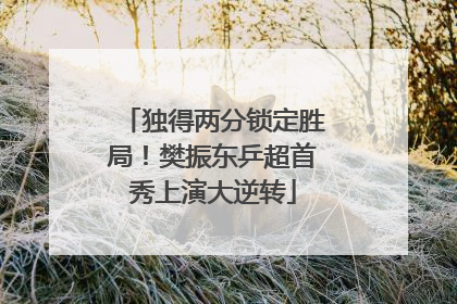 独得两分锁定胜局！樊振东乒超首秀上演大逆转