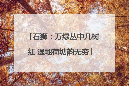 石狮：万绿丛中几树红 湿地荷塘韵无穷