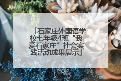 石家庄外国语学校七年级4班“我爱石家庄”社会实践活动成果展示