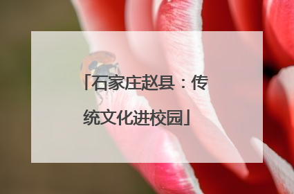 石家庄赵县：传统文化进校园