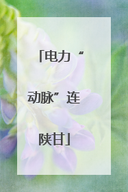 电力“动脉”连陕甘