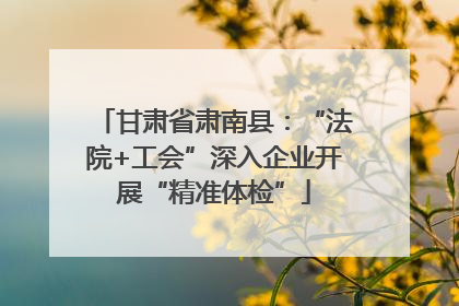 甘肃省肃南县：“法院+工会”深入企业开展“精准体检”