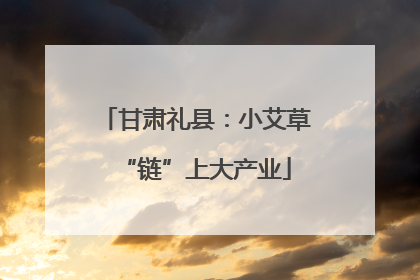 甘肃礼县：小艾草“链”上大产业