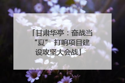 甘肃华亭:奋战当“夏” 打响项目建设攻坚大会战