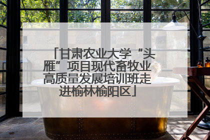 甘肃农业大学“头雁”项目现代畜牧业高质量发展培训班走进榆林榆阳区