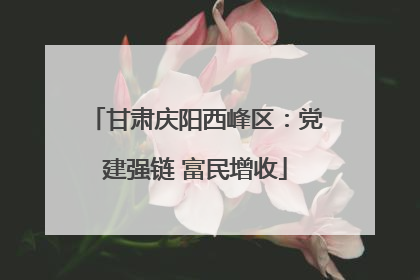 甘肃庆阳西峰区：党建强链 富民增收