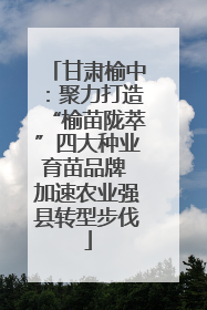 甘肃榆中：聚力打造“榆苗陇萃”四大种业育苗品牌 加速农业强县转型步伐
