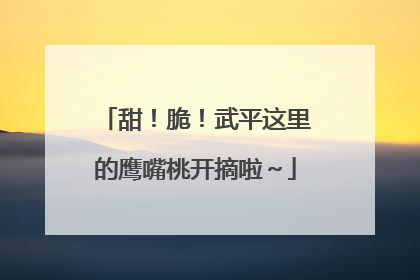 甜！脆！武平这里的鹰嘴桃开摘啦～