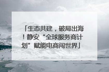 生态共建，破局出海！静安“全球服务商计划”赋能电商闯世界