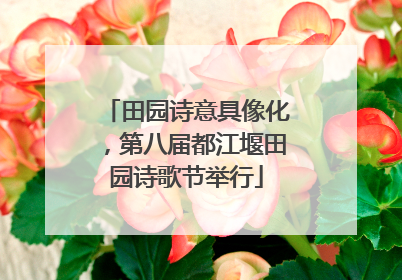 田园诗意具像化，第八届都江堰田园诗歌节举行
