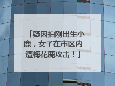 疑因拍刚出生小鹿，女子在市区内遭梅花鹿攻击！