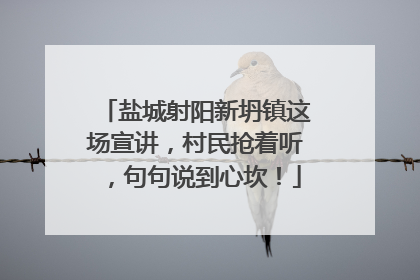 盐城射阳新坍镇这场宣讲，村民抢着听，句句说到心坎！