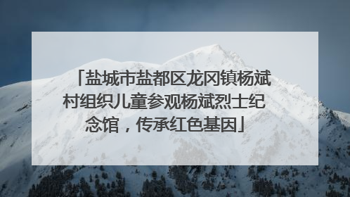 盐城市盐都区龙冈镇杨斌村组织儿童参观杨斌烈士纪念馆，传承红色基因
