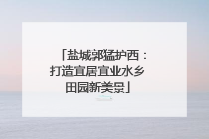 盐城郭猛护西：打造宜居宜业水乡田园新美景