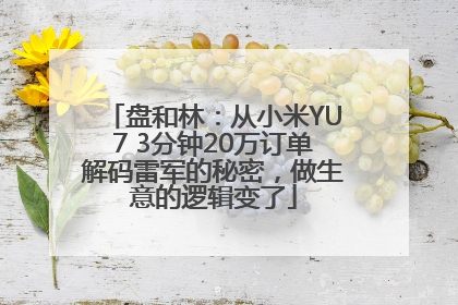 盘和林：从小米YU7 3分钟20万订单解码雷军的秘密，做生意的逻辑变了