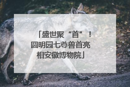 盛世聚“首”！圆明园七尊兽首亮相安徽博物院