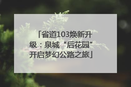 省道103焕新升级：泉城“后花园”开启梦幻公路之旅