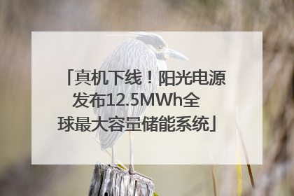 真机下线！阳光电源发布12.5MWh全球最大容量储能系统