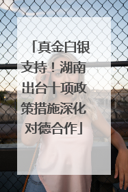 真金白银支持！湖南出台十项政策措施深化对德合作