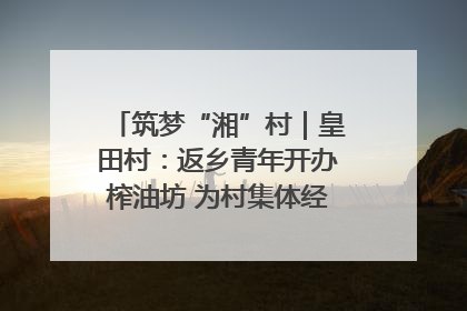 筑梦“湘”村｜皇田村：返乡青年开办榨油坊 为村集体经济“加油”