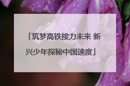 筑梦高铁接力未来 新兴少年探秘中国速度