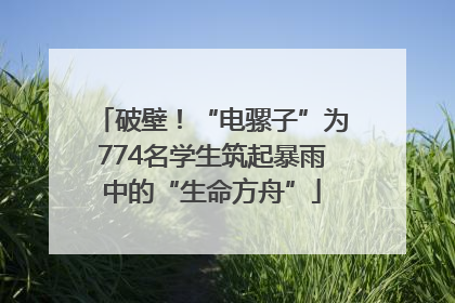 破壁！“电骡子”为774名学生筑起暴雨中的“生命方舟”
