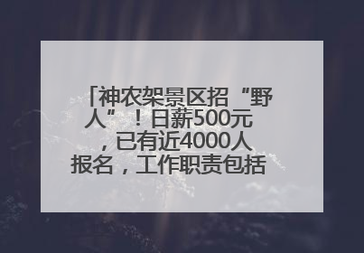 神农架景区招“野人”！日薪500元，已有近4000人报名，工作职责包括“接受游客投喂”