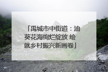 禹城市中街道：油葵花海绚烂绽放 绘就乡村振兴新画卷
