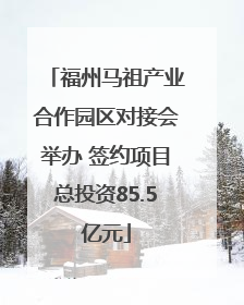 福州马祖产业合作园区对接会举办 签约项目总投资85.5亿元