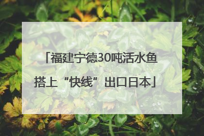 福建宁德30吨活水鱼搭上“快线”出口日本