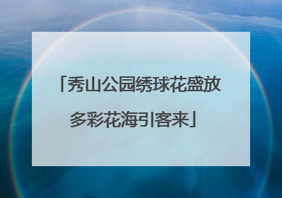 秀山公园绣球花盛放 多彩花海引客来