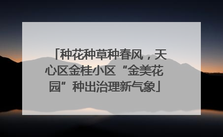 种花种草种春风，天心区金桂小区“金美花园”种出治理新气象
