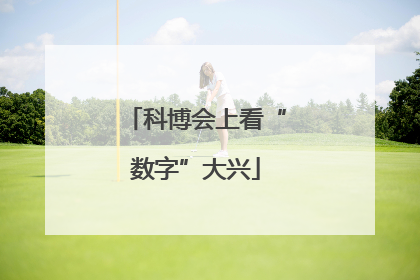 科博会上看“数字”大兴