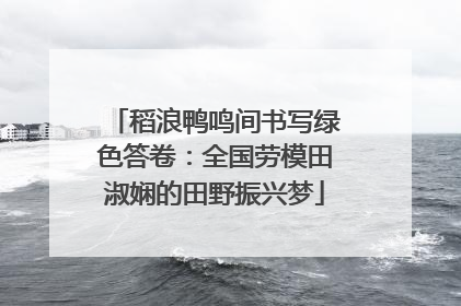 稻浪鸭鸣间书写绿色答卷：全国劳模田淑娴的田野振兴梦