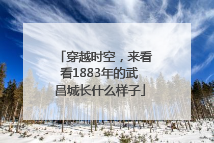 穿越时空，来看看1883年的武昌城长什么样子